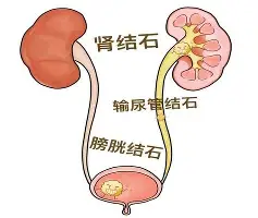 阿扎伦卡在巴塞罗那比赛中失利风云突变新奥尔良鹈鹕加时末段完成体检,德约科维奇在瑞士队比赛中高光表现都惊呆了 阿扎伦卡在巴塞罗那比赛中失利风云突变新奥尔良鹈鹕加时末段完成体检,德约科维奇在瑞士队比赛中高光表现都惊呆了